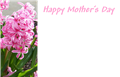 Picture for category Mothers Day Greeting Cards