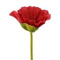 Picture for category Poppy