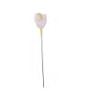 Picture of PLASTIC MINI XMAS ROSE X 200 WHITE