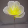 Picture of PLASTIC MINI XMAS ROSE X 200 WHITE