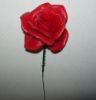 Picture of PLASTIC OPEN ROSE X 100 RED