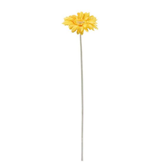 Picture of SINGLE GERBERA 21 INCH YELLOW