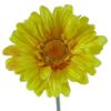 Picture of SINGLE GERBERA 21 INCH YELLOW