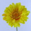 Picture of SINGLE GERBERA 21 INCH YELLOW