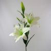 Picture of 84cm CASABLANCA LILY SPRAY CREAM X 24pcs (KNOCK DOWN PACKAGING - HEADS NEED ATTACHING)