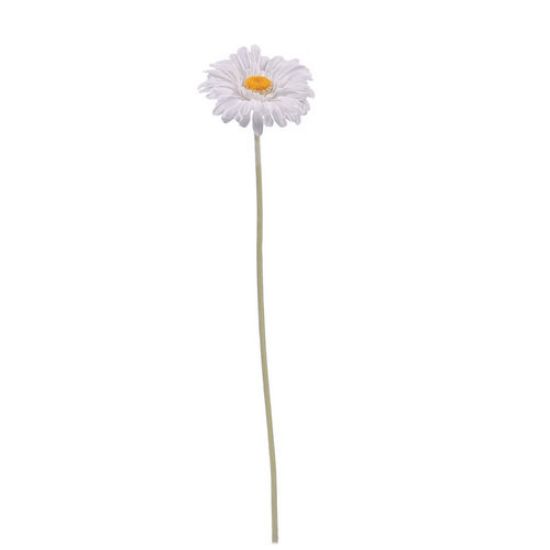 Picture of SINGLE GERBERA 21 INCH WHITE