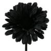 Picture of SINGLE GERBERA 21 INCH BLACK