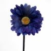 Picture of SINGLE GERBERA 21 INCH ROYAL BLUE/BLACK