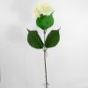 Picture of 69cm SINGLE HYDRANGEA CREAM