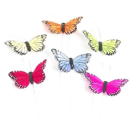 Picture of 7cm FEATHER BUTTERFLY ON 20cm WIRE ASSORTED X 12pcs