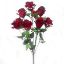 Picture of 54cm ROSE BUSH WITH GYP (9 HEADS) RED