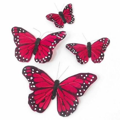Picture of 5cm FEATHER BUTTERFLY ON CROCODILE CLIP RED X 24pcs