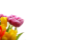 Picture of GREETING CARDS X 50 (NO MESSAGE) BOUQUET