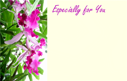 Picture of GREETING CARDS X 50 ESPECIALLY FOR YOU - ORCHIDS PINK