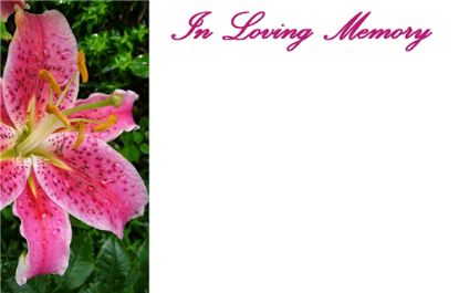 Picture of GREETING CARDS X 50 IN LOVING MEMORY - LILY PINK