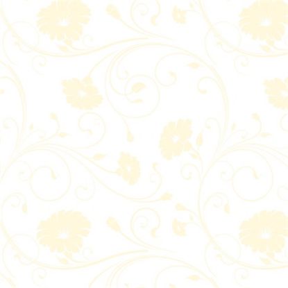 Picture of CELLOPHANE ROLL 80cm X 100met DAISY CREAM