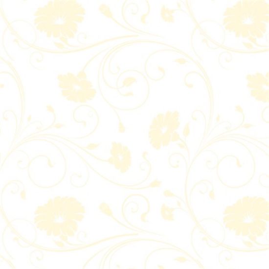 Picture of CELLOPHANE ROLL 80cm X 100met DAISY CREAM