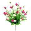 Picture of BABY TULIP BUSH ASSORTED X 24pcs