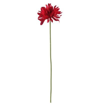 Picture of 64cm SINGLE LARGE SHAGGY GERBERA RED