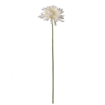 Picture of 64cm SINGLE LARGE SHAGGY GERBERA IVORY