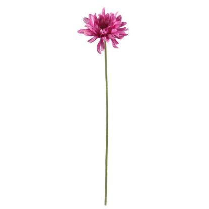 Picture of 64cm SINGLE LARGE SHAGGY GERBERA HOT PINK