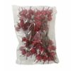 Picture of MINI APPLE X BAG OF 96pcs RED