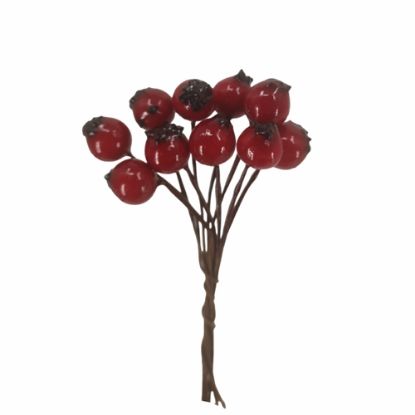 Picture of BERRIES IN POLY BAG X 120pcs RED