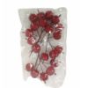 Picture of APPLE PICK IN POLY BAG X 20pcs RED