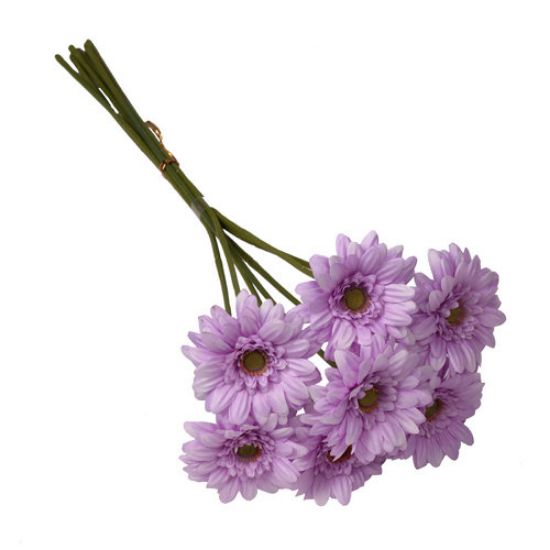 Picture of 47cm MINI GERBERA BUNDLE (7 STEMS) LILAC