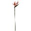 Picture of 66cm PLASTIC BIRD OF PARADISE SPRAY ORANGE