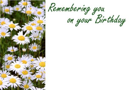 Picture of LARGE GREETING CARDS X 12 REMEMBERING YOU ON YOUR BIRTHDAY - WHITE DAISIES