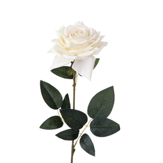 Picture of 72cm VELVET EMPEROR ROSE STEM IVORY