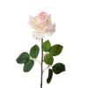 Picture of 75cm REAL TOUCH LARGE OPEN ROSE CREAM WITH TOUCH OF PINK