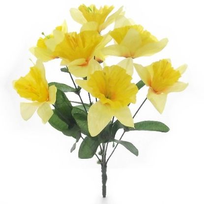 Picture of DAFFODIL BUSH (8 HEADS) YELLOW