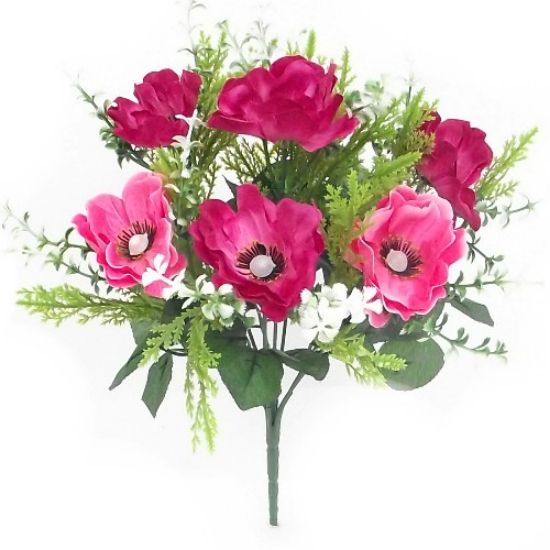 Picture of ANEMONE BUSH CERISE/PINK