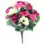 Picture of ANEMONE BUSH LARGE IVORY/CERISE/PINK