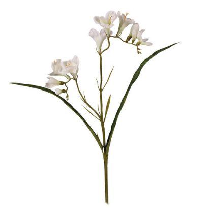 Picture of 56cm FREESIA SPRAY IVORY
