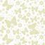 Picture of CELLOPHANE  ROLL 80cm X 100met FLUTTERBY IVORY