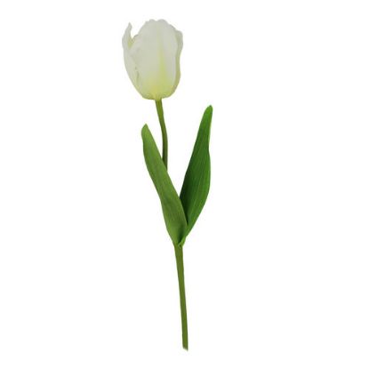 Picture of 41cm SINGLE FRENCH TULIP IVORY