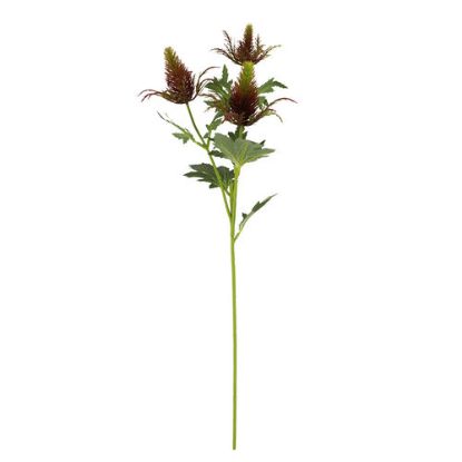 Picture of 67cm ERYNGIUM (SEA HOLLY) SPRAY RED/GREEN
