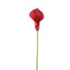 Picture of 38cm REAL TOUCH SINGLE CALLA LILY RED