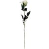 Picture of 72cm LUXURY LARGE SINGLE VELVET TOUCH ROSE IVORY