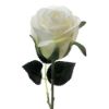 Picture of 72cm LUXURY LARGE SINGLE VELVET TOUCH ROSE IVORY