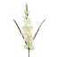 Picture of 78cm GLADIOLUS SPRAY IVORY