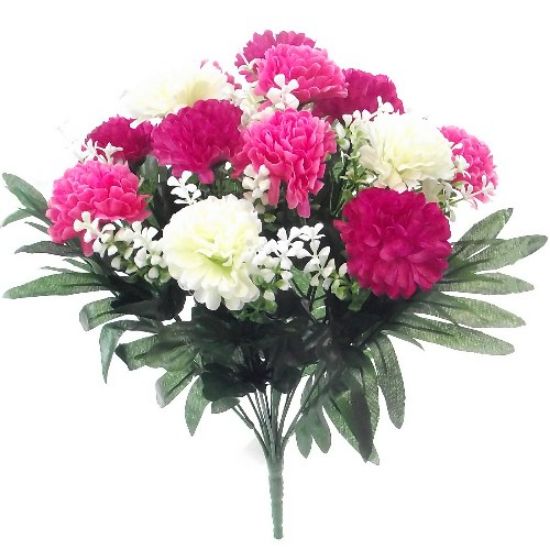 Picture of MINI CHRYSANTHEMUM BUSH (14 HEADS) IVORY/PINK/CERISE