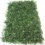 Picture of BUDGET BOXWOOD TOPIARY MAT 60 X 40cm GREEN
