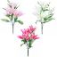 Picture of LILY BUSH (6 HEADS) ASSORTED X 36pcs