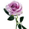 Picture of 52cm SINGLE LARGE VELVET TOUCH OPEN ROSE LILAC