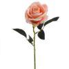 Picture of 52cm SINGLE LARGE VELVET TOUCH OPEN ROSE PEACH