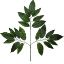 Picture of 74cm LARGE LEAF SPRAY (21 LEAVES) DARK GREEN X12pcs